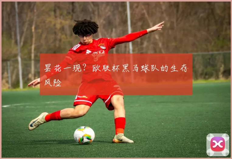 昙花一现？欧联杯黑马球队的生存风险
